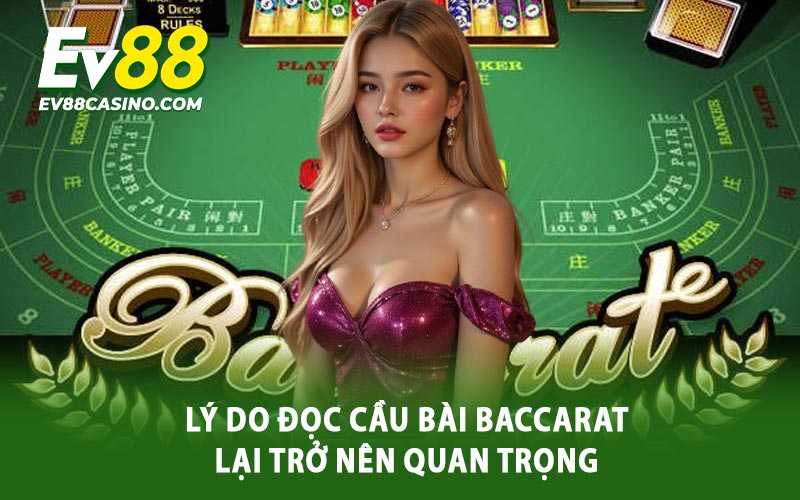 Lý do đọc cầu bài Baccarat lại trở nên quan trọng